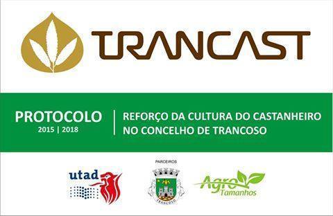 15267705 642609745919305 6889810752647481303 n