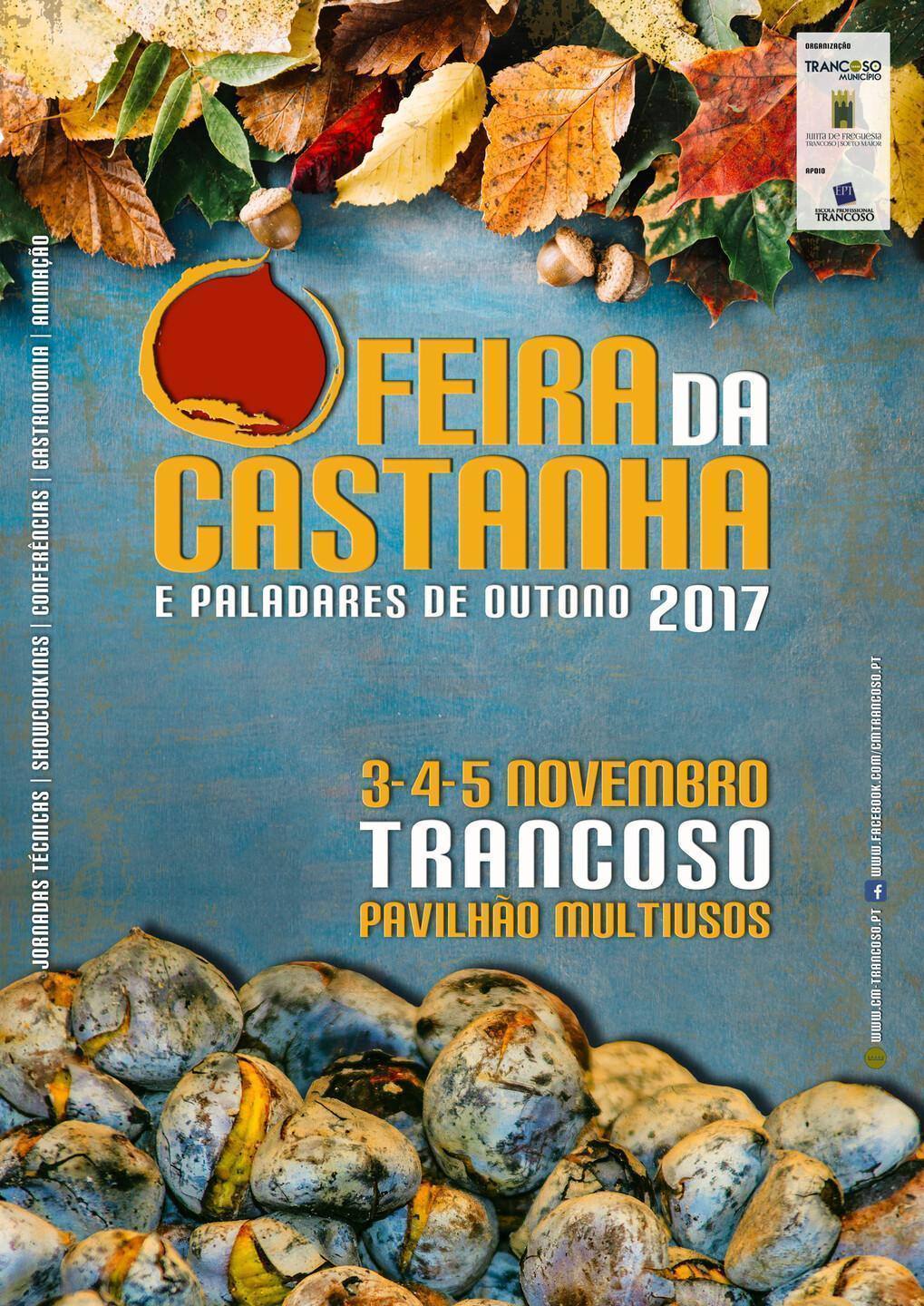 Cartaz Castanha2017
