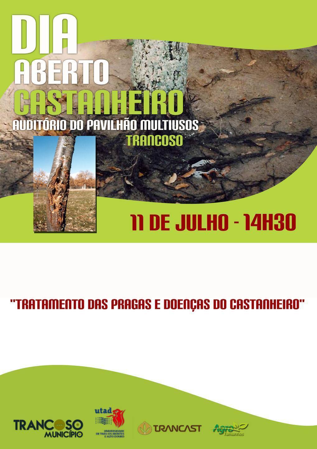 Cartaz diaAberto 21 julho