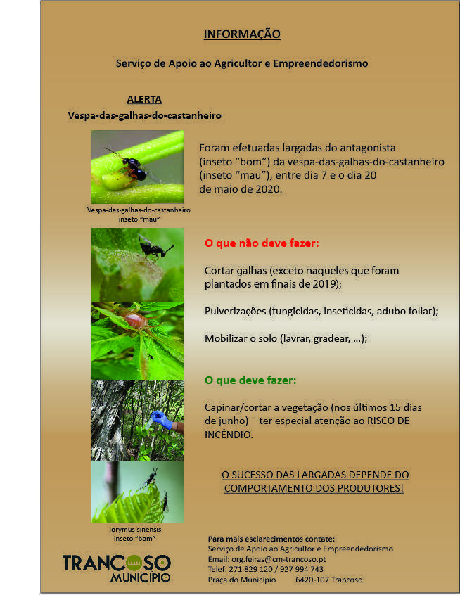 informacao-castanheiro