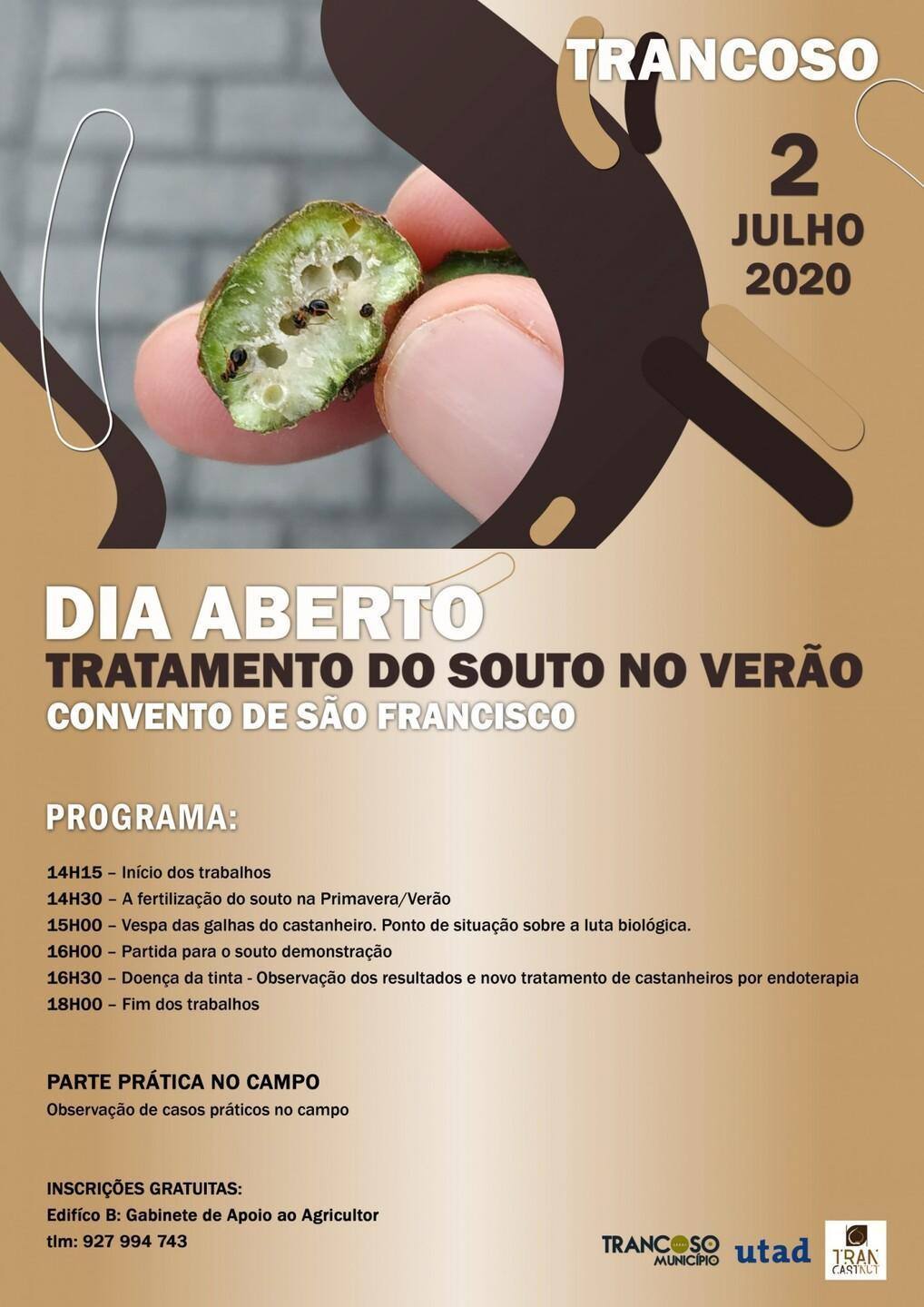 DiaAbertoCastanha 1 scaled