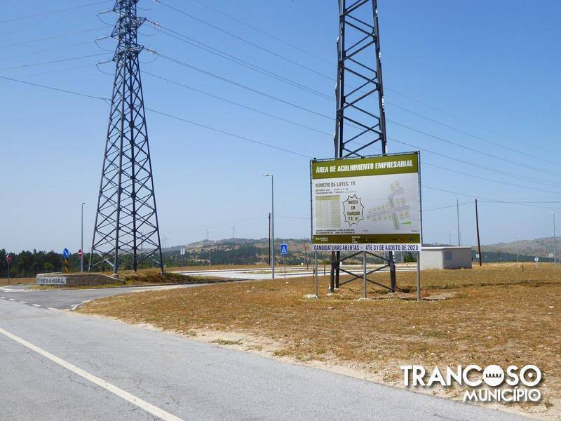 115806895 1539695519544052 130804426016935755 n