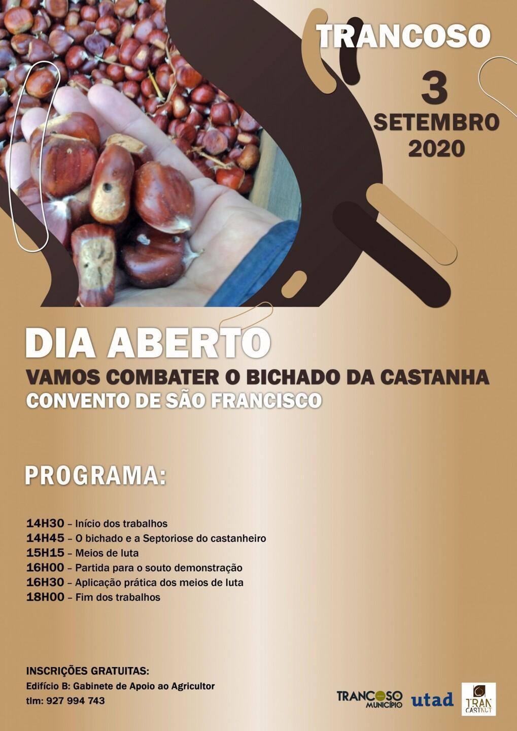 DiaAbertoCastanha