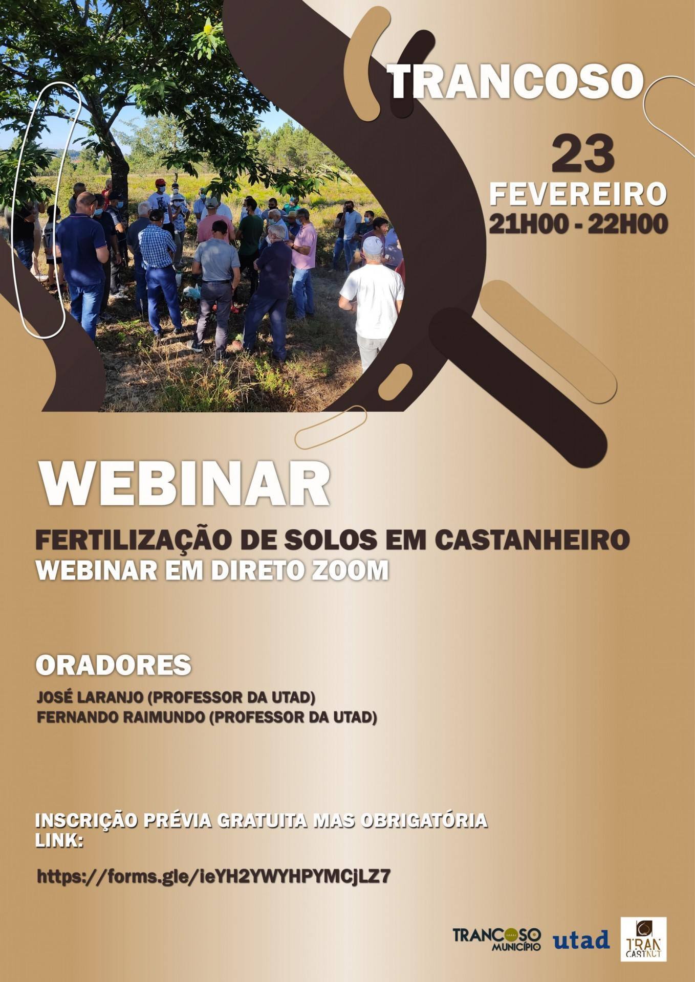WEBINAR scaled