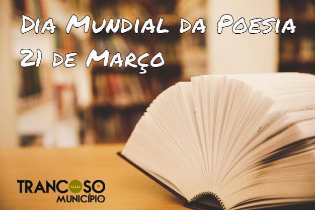 Livro Na Biblioteca Com O Velho Livro Aberto Pilha Pilhas De Arquivo De Texto De Literatura Na Mesa De Leitura 1150 9077