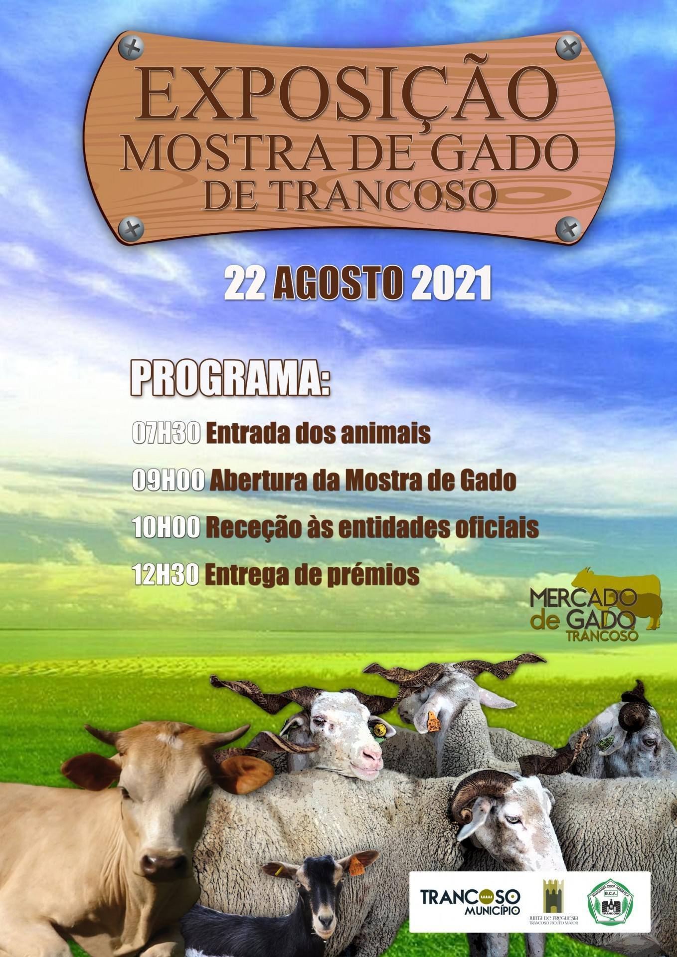 VIII Feira do Gado2021 scaled