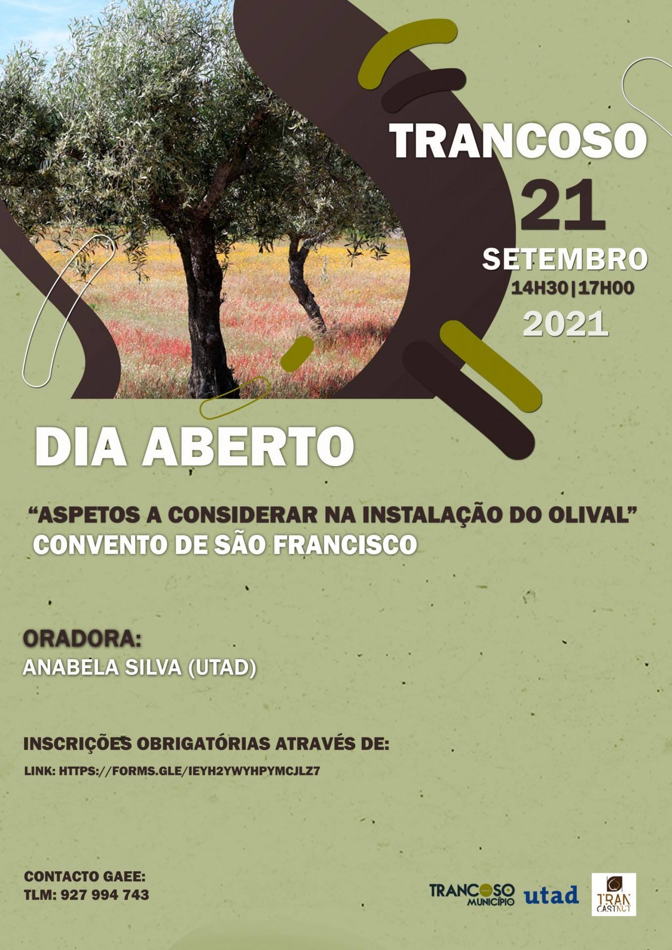 DiaAberto Olival2 scaled