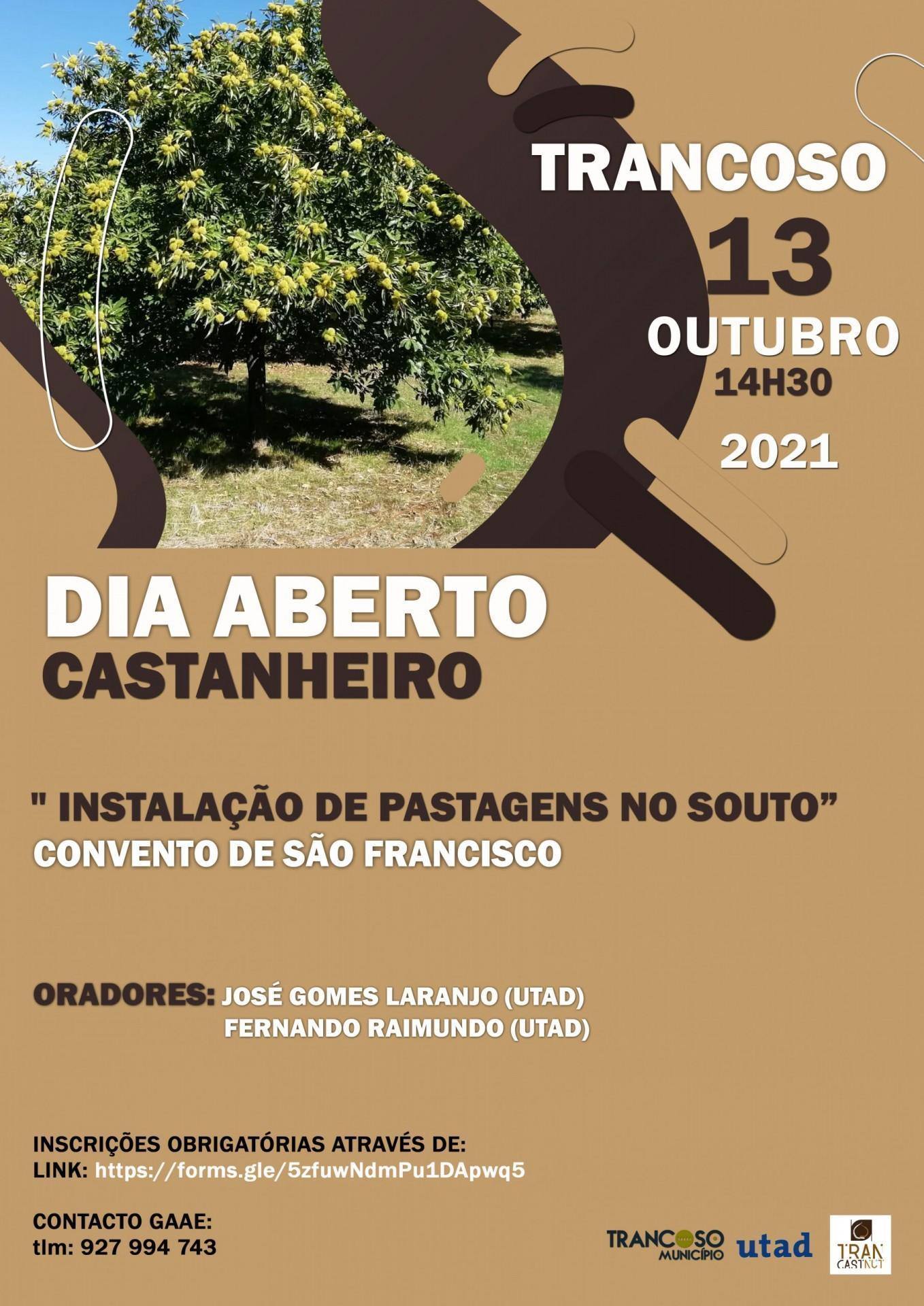 DiaAbertoCastanha scaled