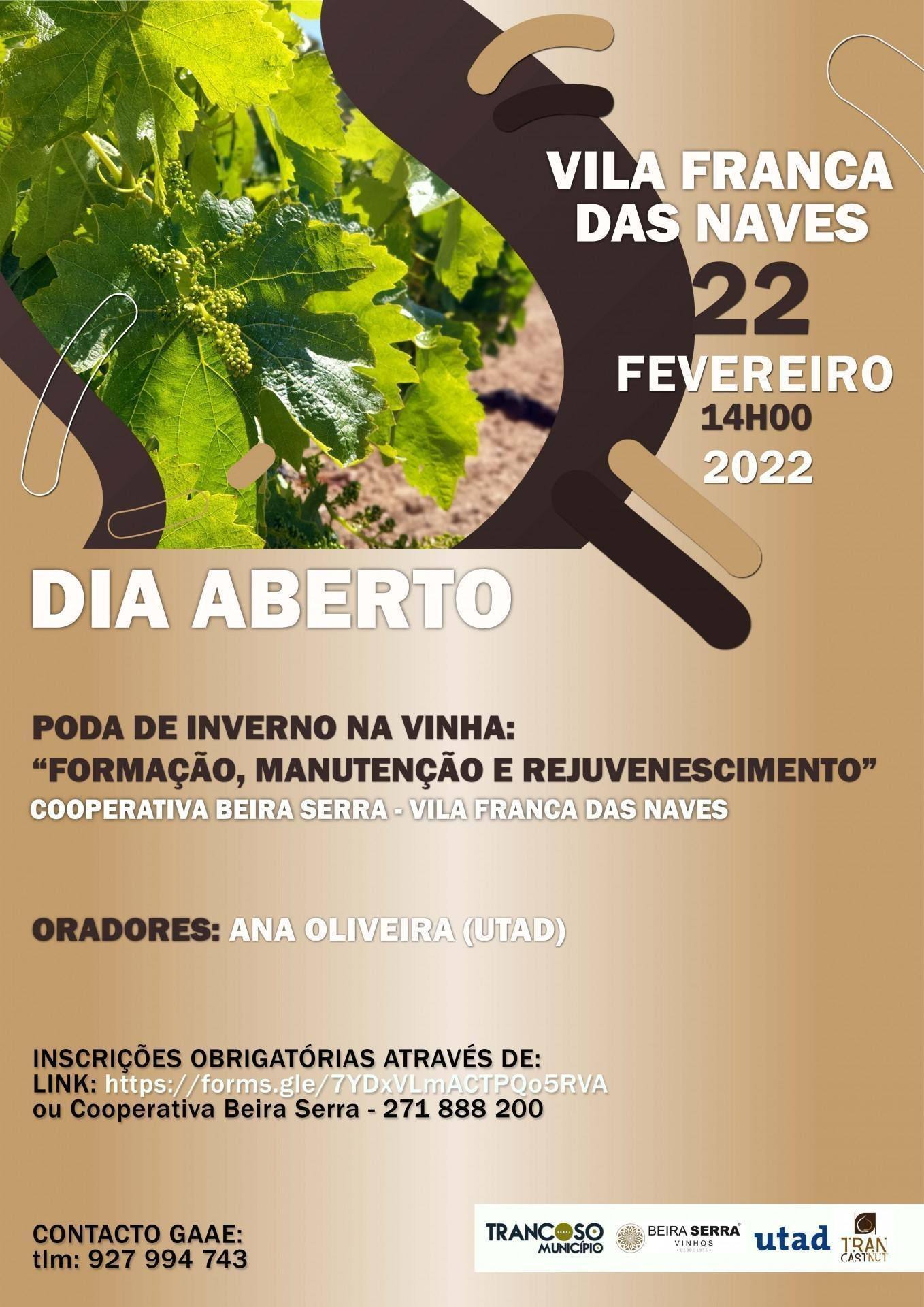 Diaaberto Vinha
