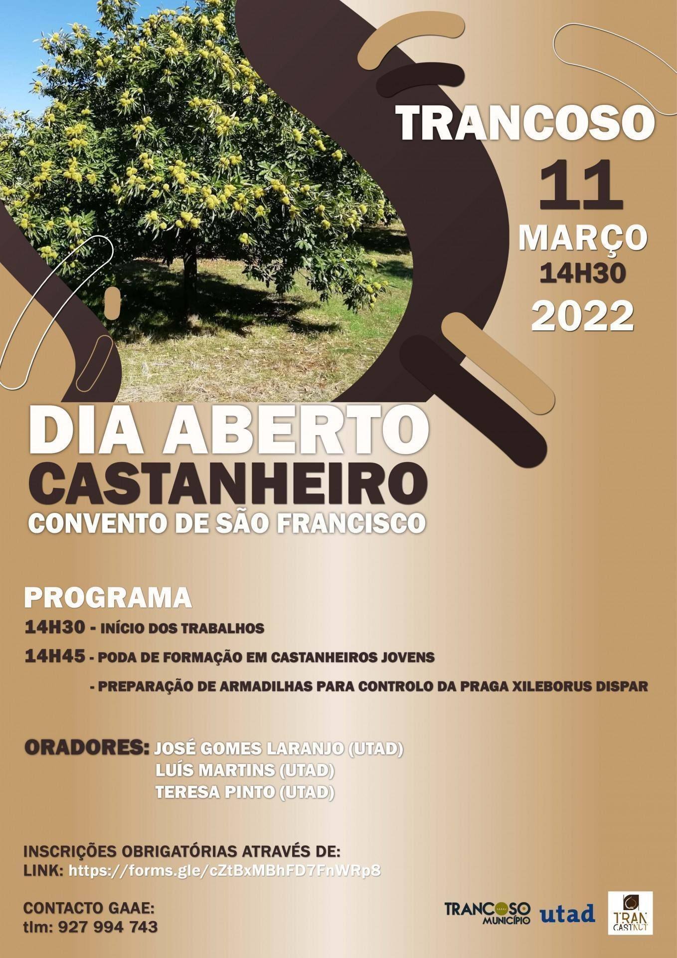 Diaabertocastanheiro