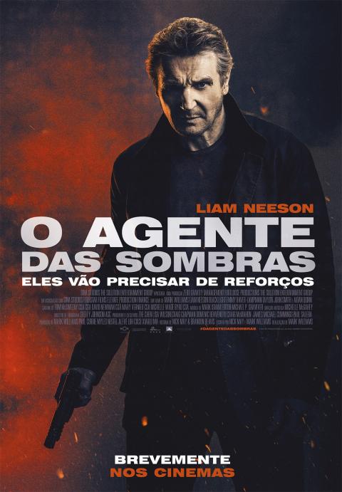 3. O Agente Das Sombras