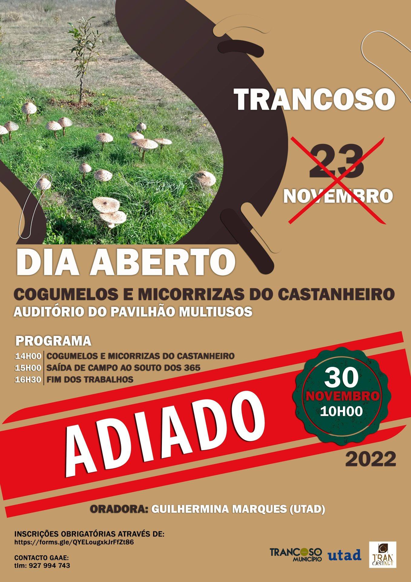 Diaabertocogumelosadiado