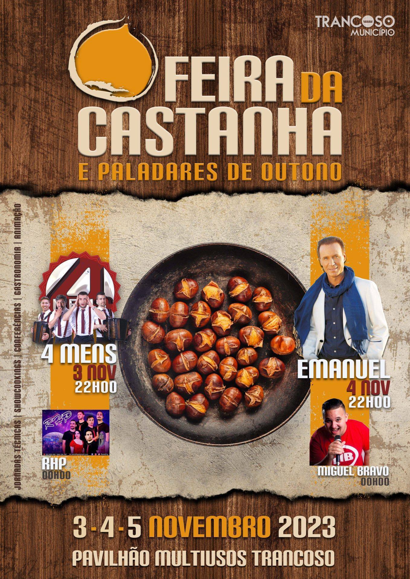 Cartaz A3 comArtistas scaled