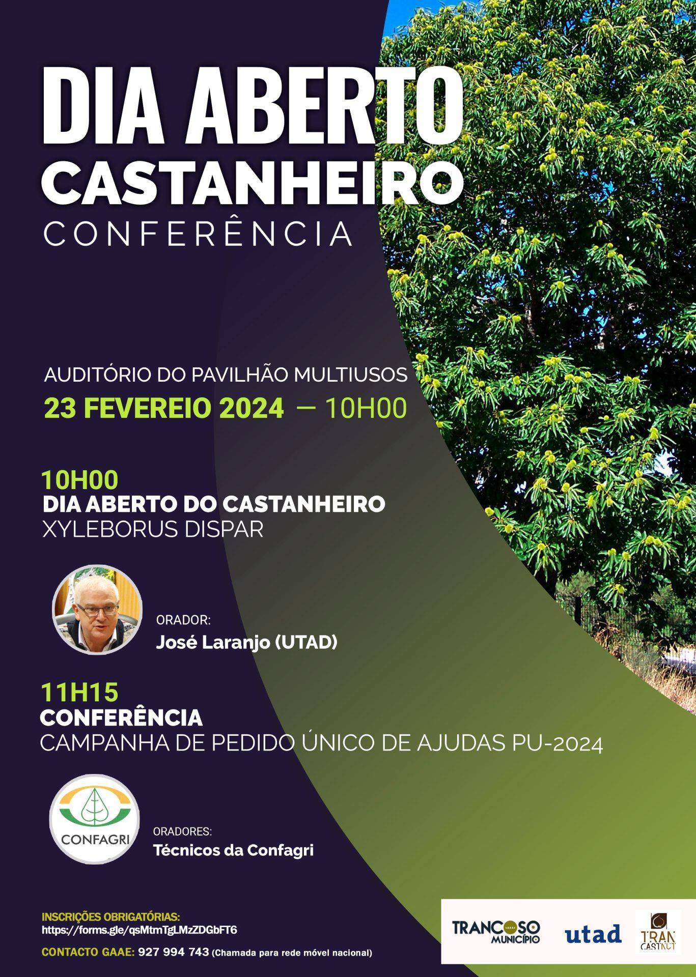 Cartaz diaABerto