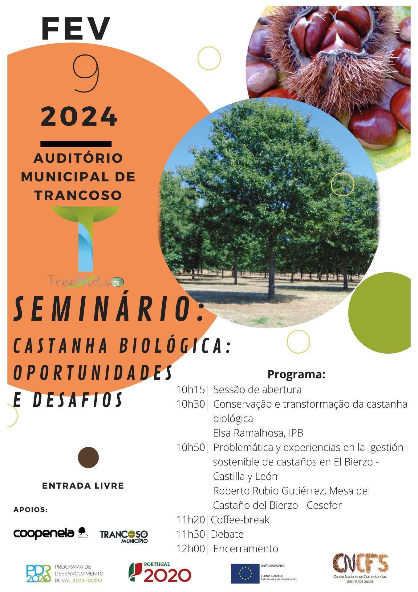Seminario Trancoso