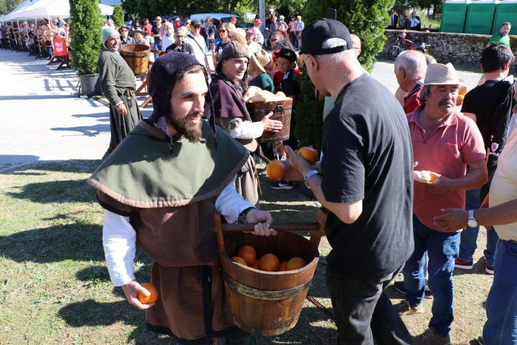 441896692 870605778443135 8860733999325820957 N