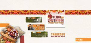 Foto Site castanha2024