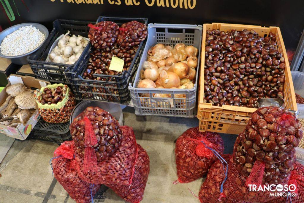 464974168 983025200534525 9145173193659373400 N