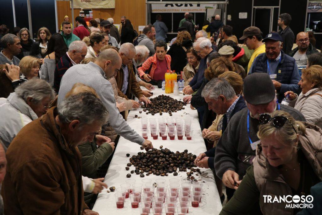 465069654 983025980534447 4474537345002201660 N