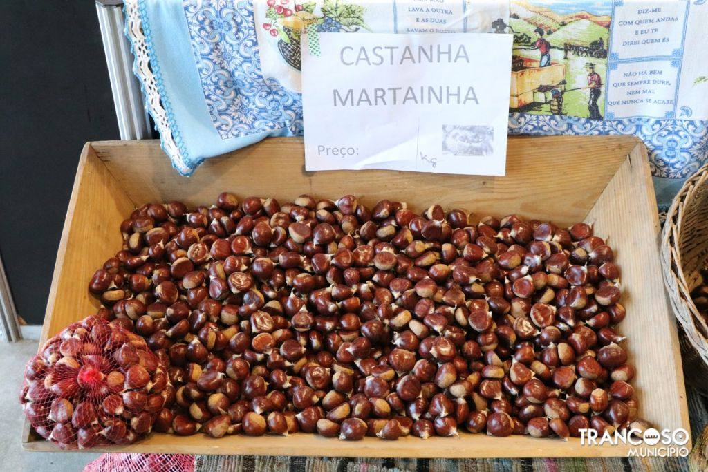 465170657 983023423868036 6226629121644261197 N