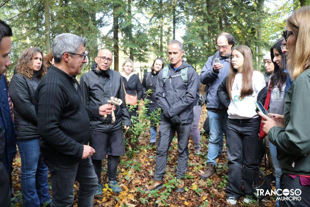 465279232 983448123825566 4279915789828120724 N