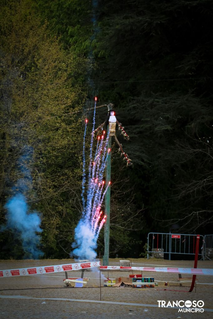 492006816 1116857660484611 5806325410740029312 N