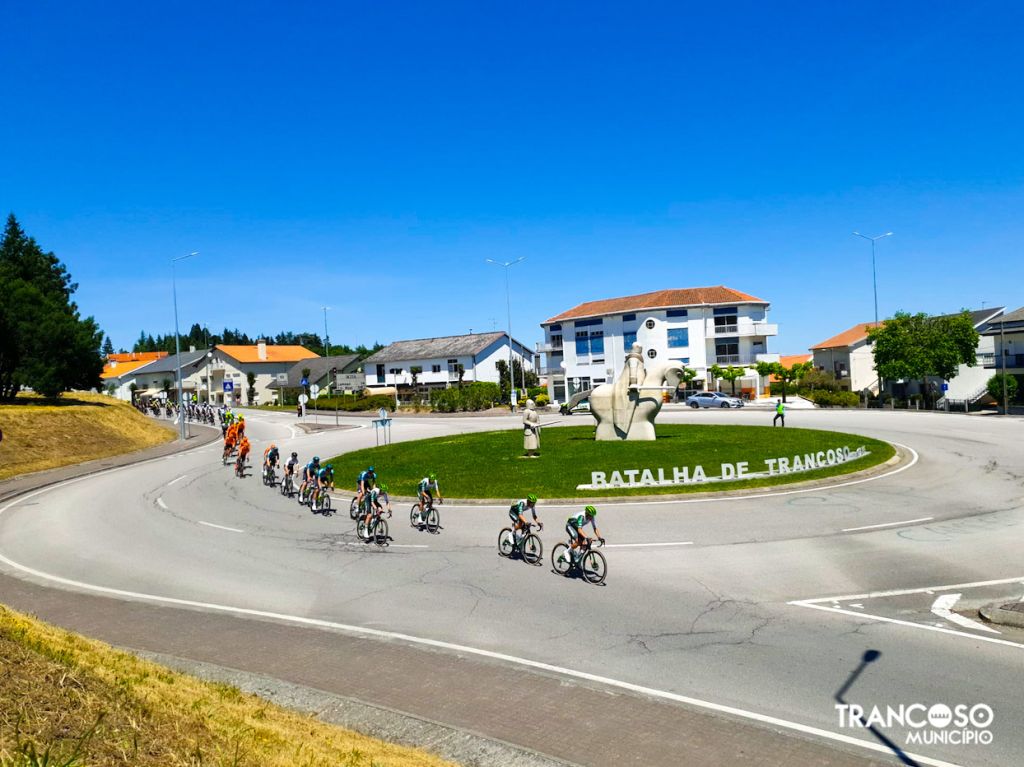 497897034 1143584394478604 9128944563937617593 N