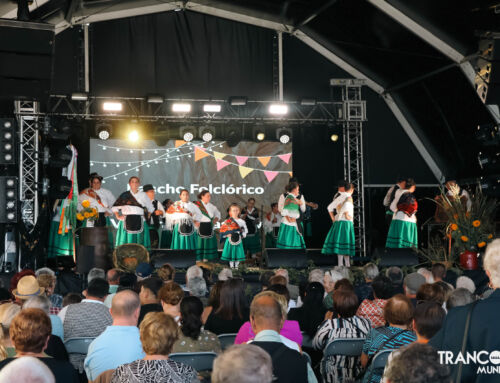 IX Festival de Folclore e das Vindimas 2025