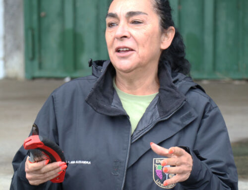 Dia Aberto da Vinha decorreu em Vila Franca das Naves