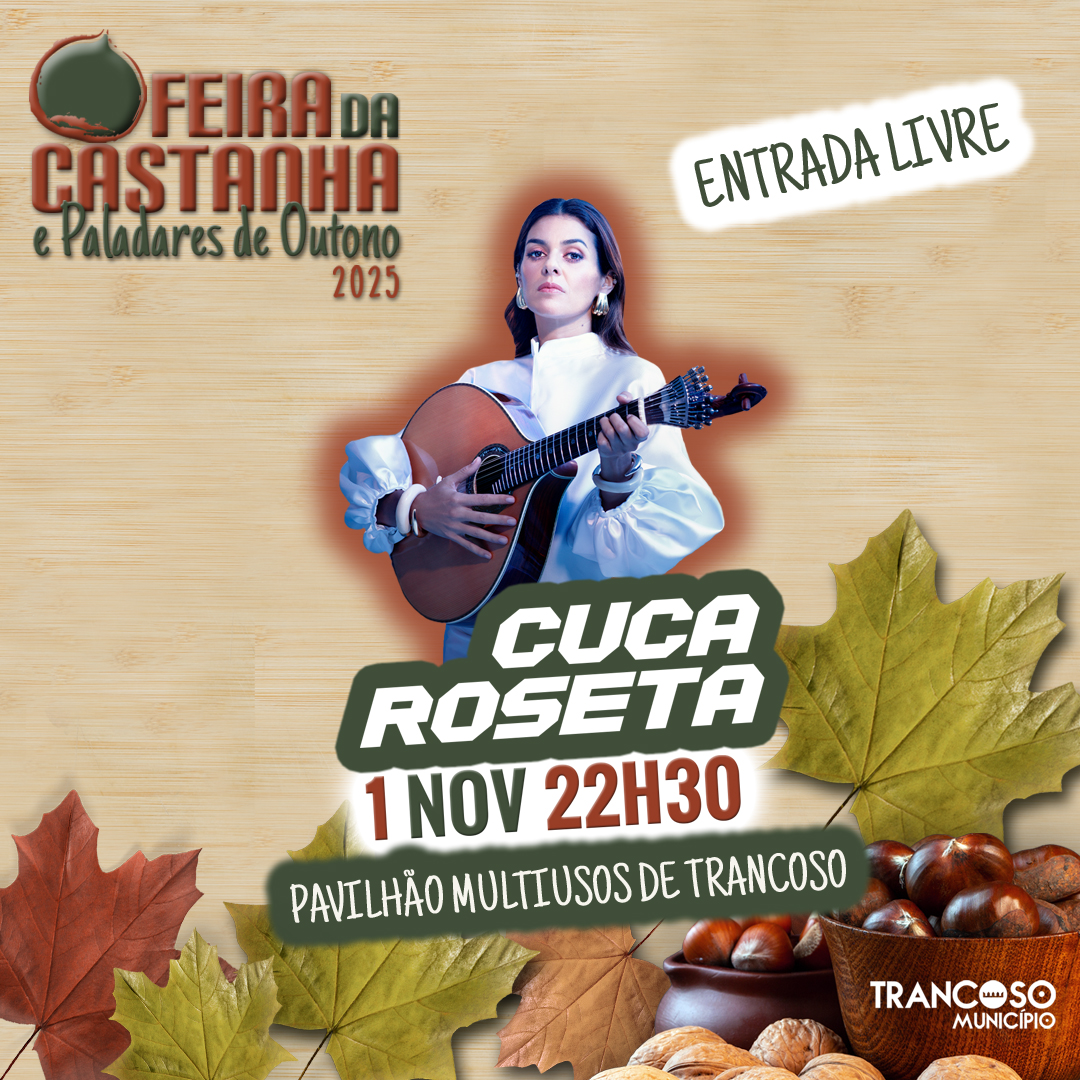 Cuca Roseta Publicidade