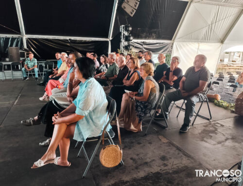 Resumo sobre a Recuperação de Vinhas Pós-Incêndios