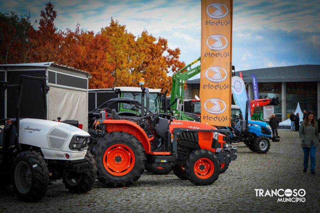 571777299 1296732652497110 2915060908462916161 N