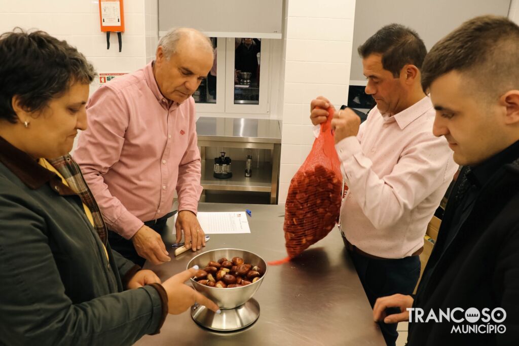 573372183 1296036349233407 4927212934576992165 N