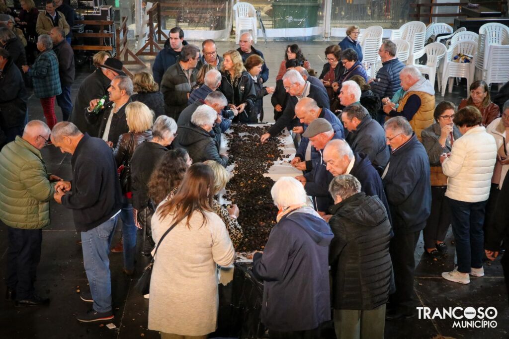 573535195 1298390605664648 7786635141544072155 N