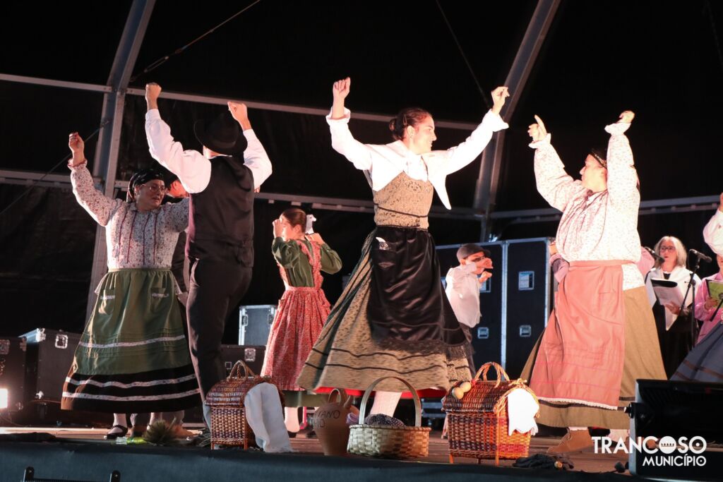 573585438 1298385218998520 8357975294768917565 N