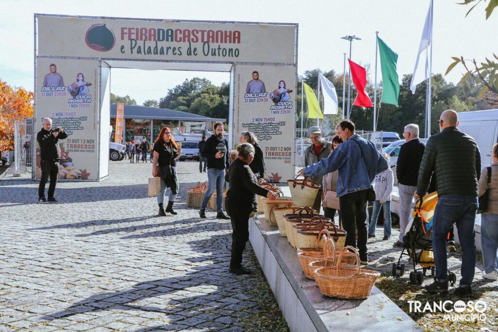 574439435 1298381782332197 428224157356348192 N