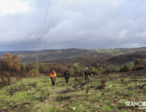 Município de Trancoso no terreno após os incêndios de 2025