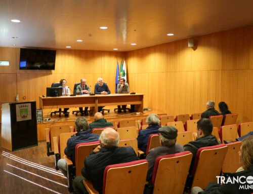 Biovespa reúne especialistas em Trancoso para debater o controlo da vespa-das-galhas-do-castanheiro