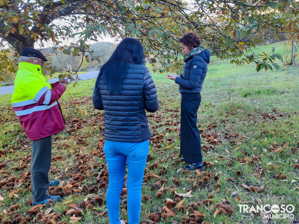 Whatsapp Image 2025 11 20 At 16.11.30 (1)