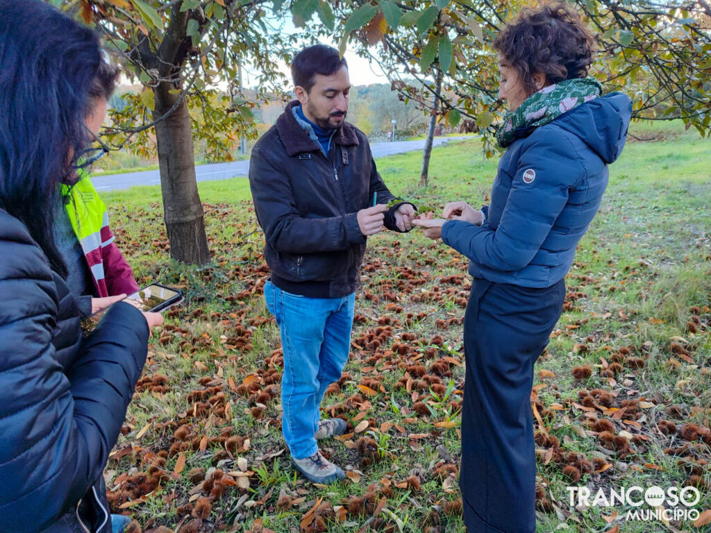 Whatsapp Image 2025 11 20 At 16.11.30