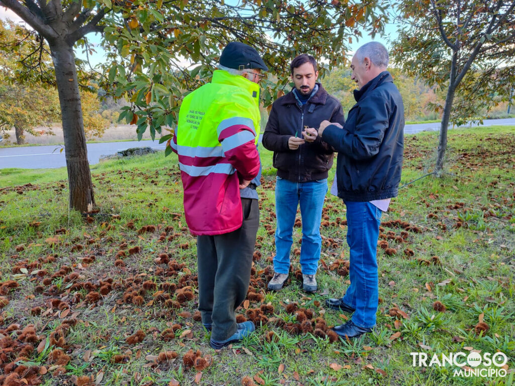 Whatsapp Image 2025 11 20 At 16.11.30 (2)