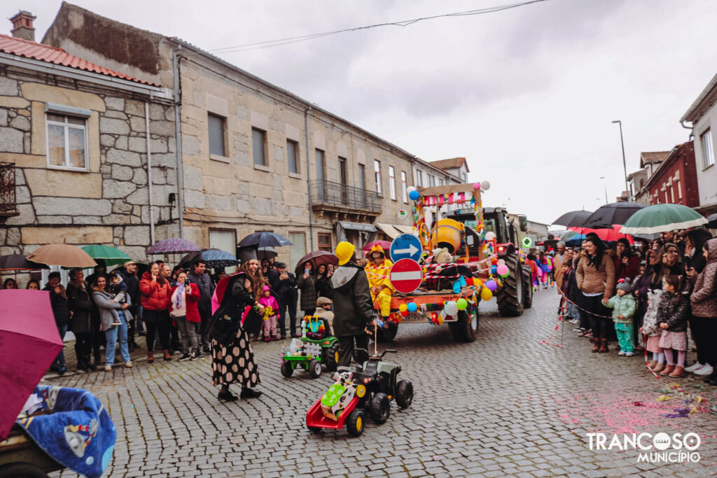 634004809 1388650269972014 5764028584552059371 n