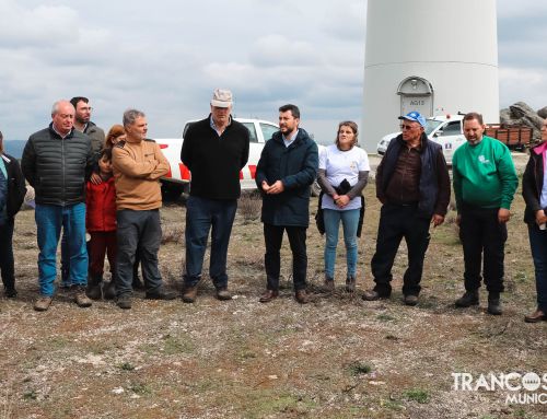 Município de Trancoso assinala o Dia da Árvore com ação de reflorestação