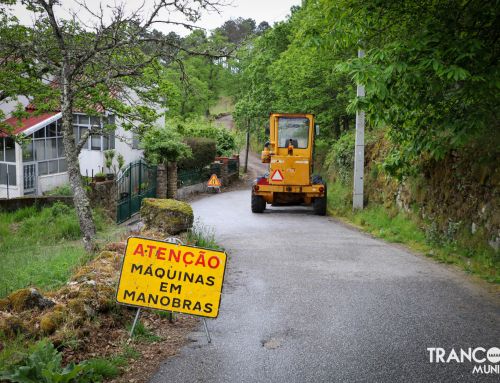 Pavimentação do caminho da Qt.ª da Lameira Seca