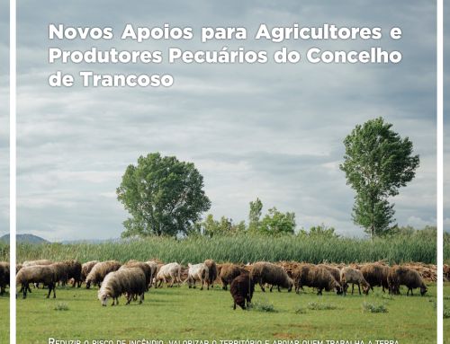 Novos Apoios para Agricultores e Produtores Pecuários do Concelho de Trancoso