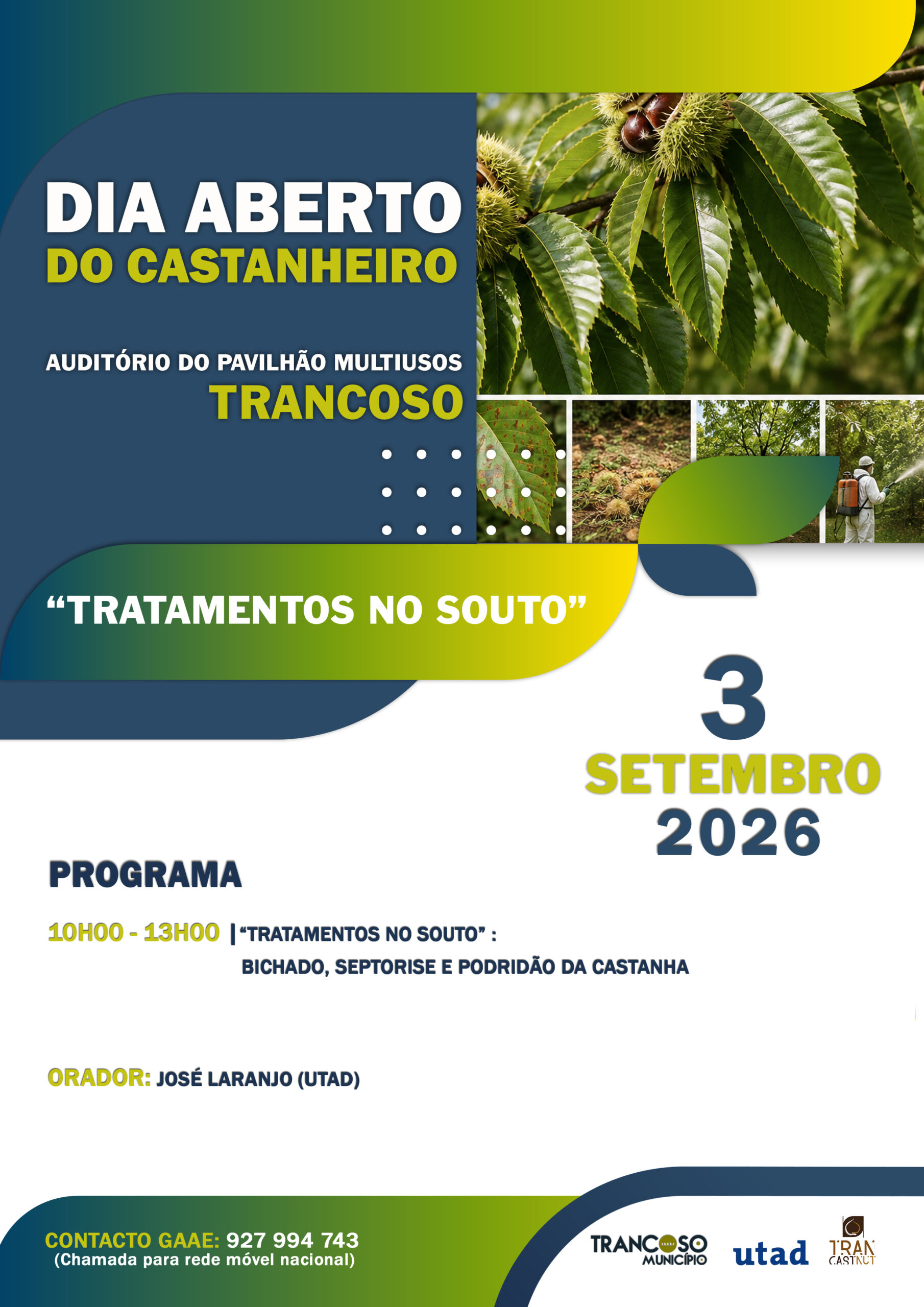 Dia Aberto Tratamentos